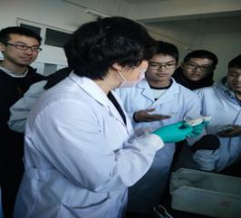 图6 学生参与开放性实验项目 图6 学生参与开放性实验项目